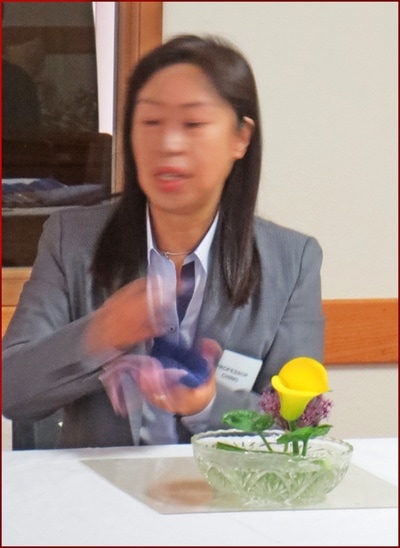 June 2017 Workshop with Visiting Professor Mayumi Chino