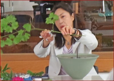 June 2017 Workshop with Visiting Professor Mayumi Chino