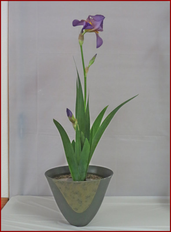 May 2019 Workshop with Visiting Professor Yoshitada Sato