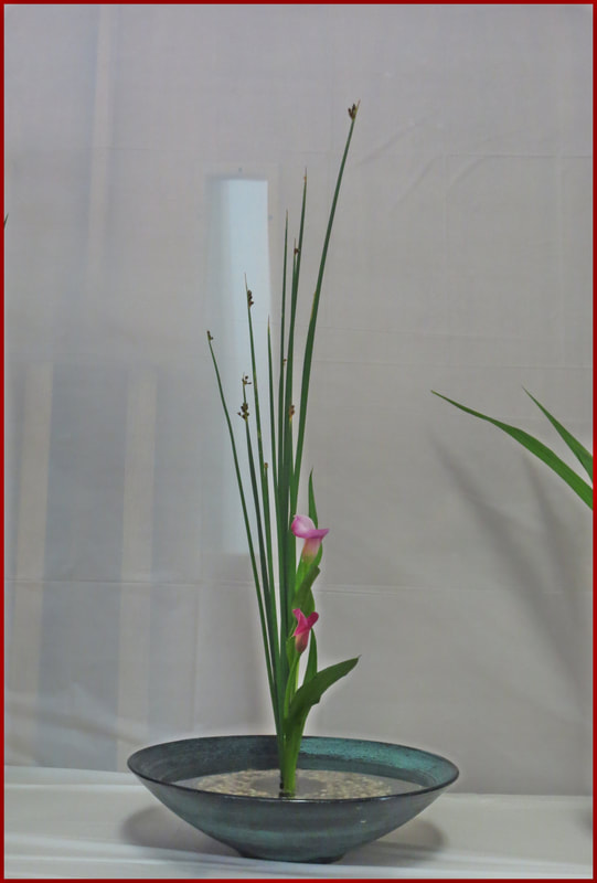 May 2019 Workshop with Visiting Professor Yoshitada Sato
