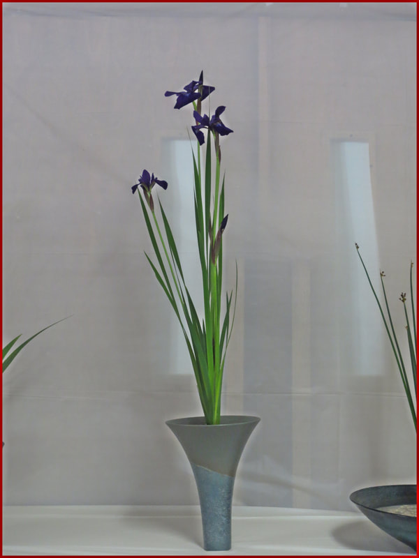 May 2019 Workshop with Visiting Professor Yoshitada Sato