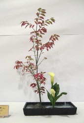 October 2010 Blaine Church Exhibition