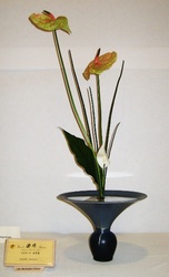 March 2011 Blaine Church Exhibition