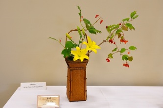 September 2011 Kirkland Library Exhibition