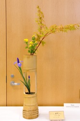 September 2011 Kirkland Library Exhibition