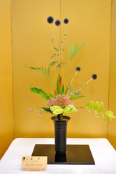 September 2011 Kirkland Library Exhibition