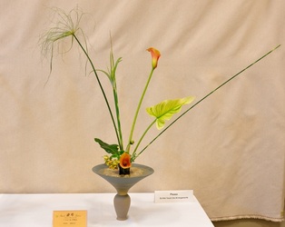 September 2011 Kirkland Library Exhibition