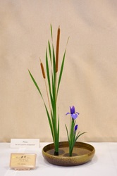 September 2011 Kirkland Library Exhibition
