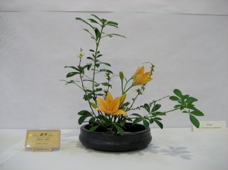 March 2012 Blaine Church Exhibition