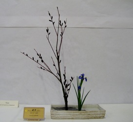 March 2012 Blaine Church Exhibition