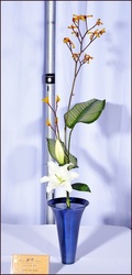 July 2012 Exhibition-Chapter Members