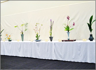 May 2013 Kirkland Library Exhibition