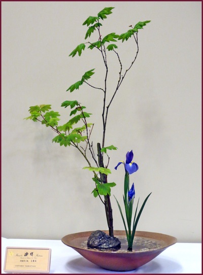May 2014 Kirkland Library Exhibition