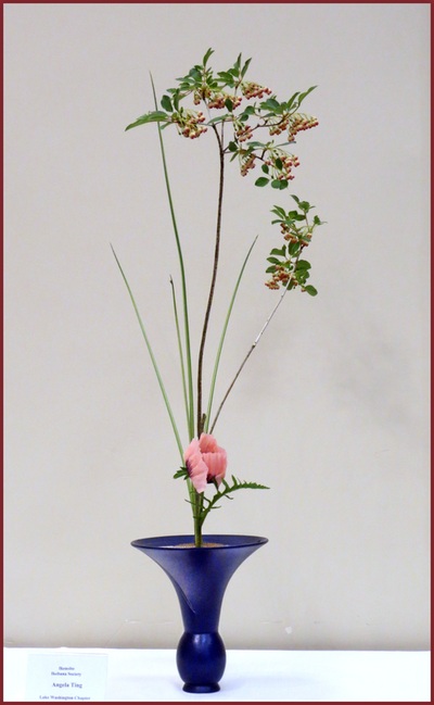 May 2014 Kirkland Library Exhibition