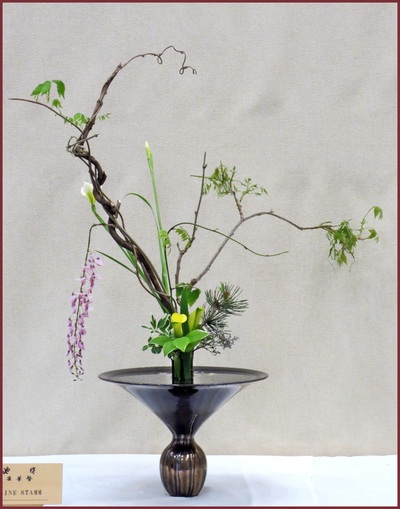 May 2014 Kirkland Library Exhibition