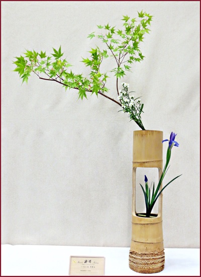 May 2014 Kirkland Library Exhibition