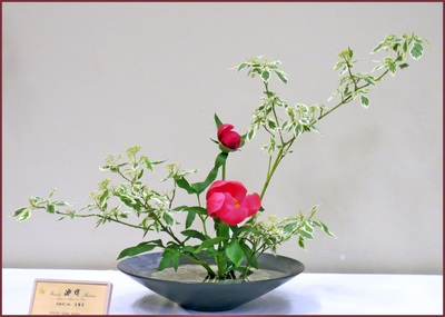 May 2014 Kirkland Library Exhibition