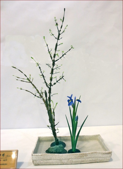 March 2015 Blaine Church Exhibition