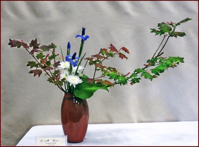 May 2015 Kirkland Library Exhibition
