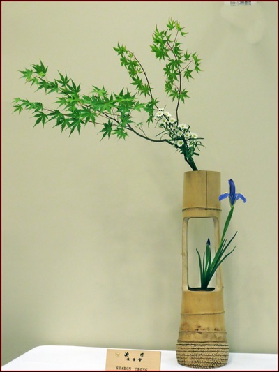 May 2015 Kirkland Library Exhibition