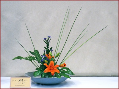 May 2015 Kirkland Library Exhibition