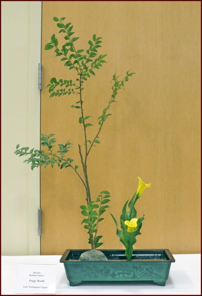 May 2015 Kirkland Library Exhibition