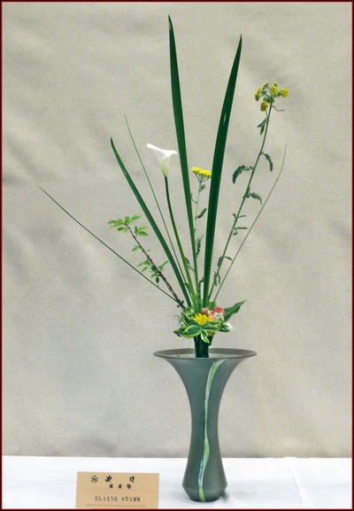 May 2015 Kirkland Library Exhibition