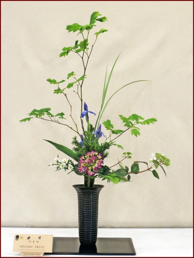 May 2015 Kirkland Library Exhibition