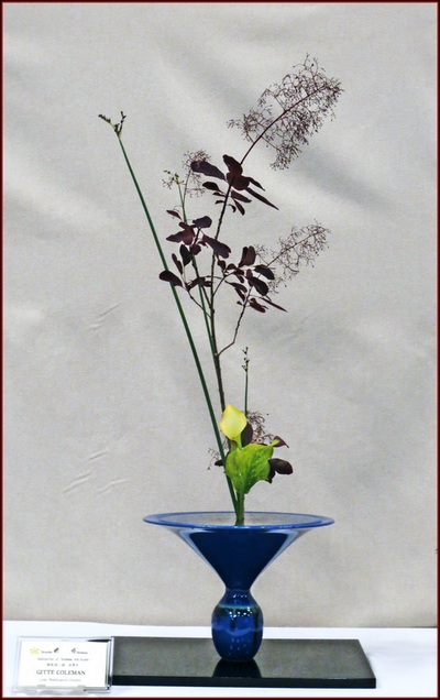 May 2015 Kirkland Library Exhibition