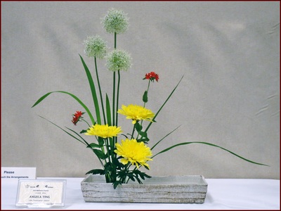 May 2015 Kirkland Library Exhibition