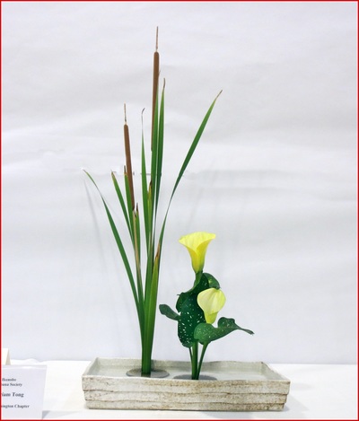 October 2015 Blaine Church Exhibition