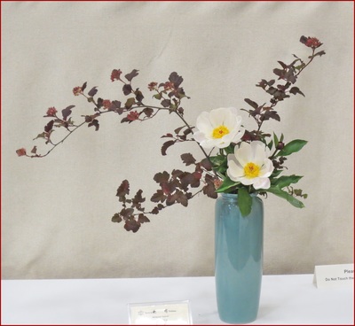 May 2016 Kirkland Library Exhibition