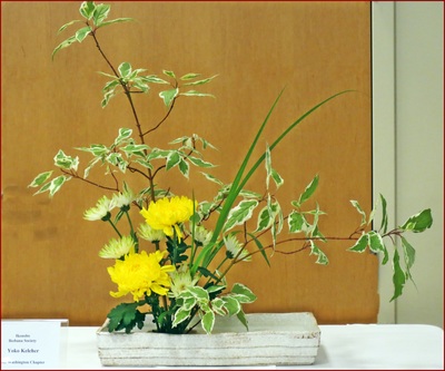 May 2016 Kirkland Library Exhibition