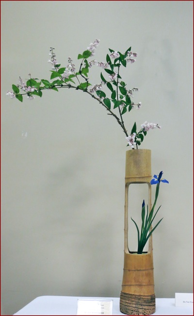 May 2016 Kirkland Library Exhibition