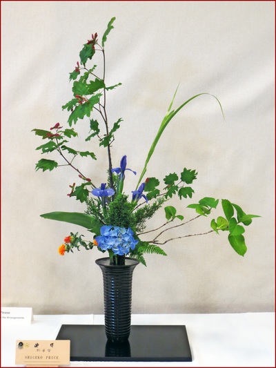 May 2016 Kirkland Library Exhibition