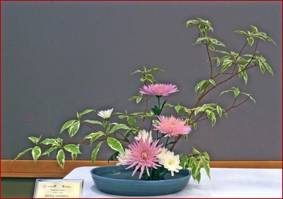May 2017 Kirkland Library Exhibition