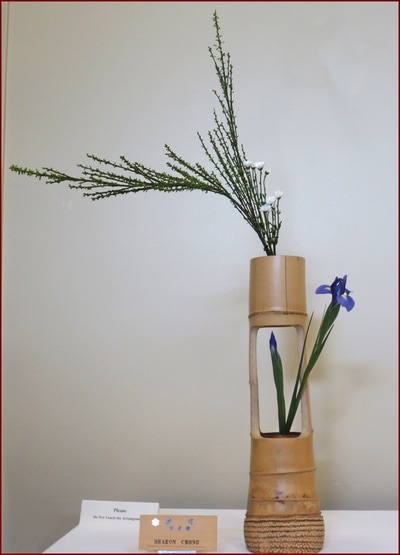May 2017 Kirkland Library Exhibition