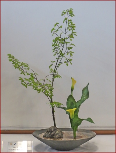 May 2017 Kirkland Library Exhibition