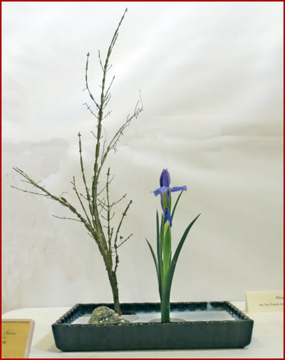 March 2018 Blaine Church Exhibition