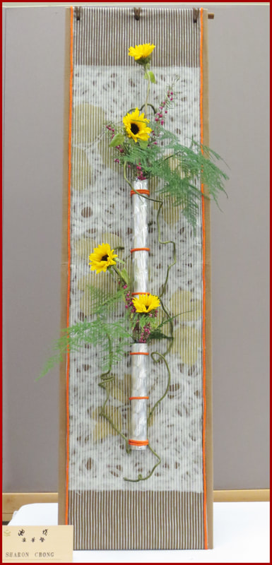 May 2018 Kirkland Library Exhibition