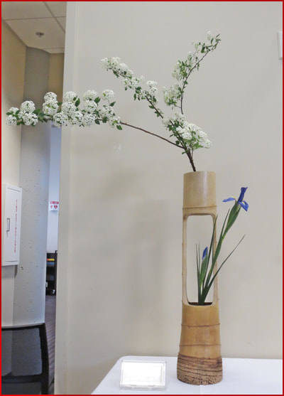 May 2018 Kirkland Library Exhibition