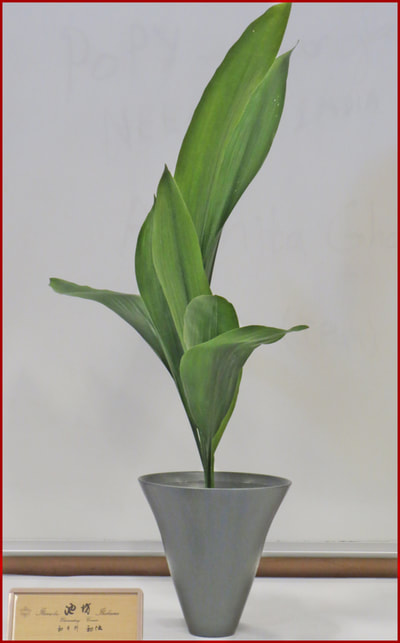 May 2018 Kirkland Library Exhibition