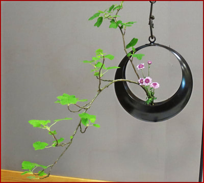 May 2018 Kirkland Library Exhibition