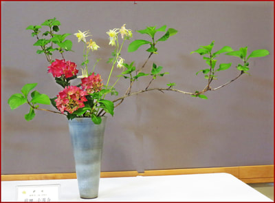 May 2018 Kirkland Library Exhibition