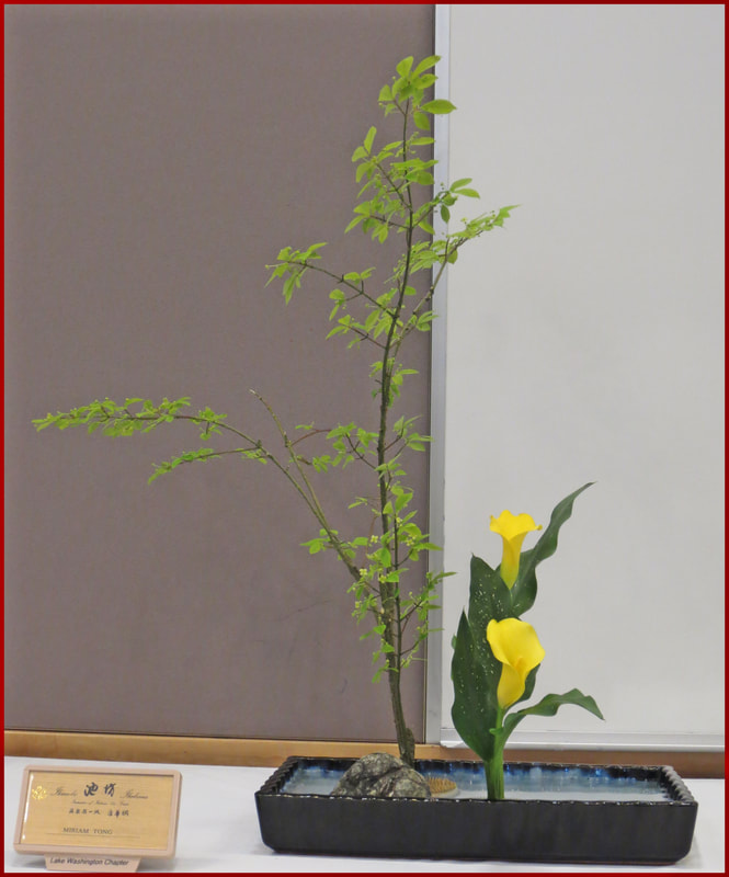 May 2019 Kirkland Library Exhibition