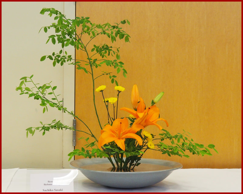 May 2019 Kirkland Library Exhibition