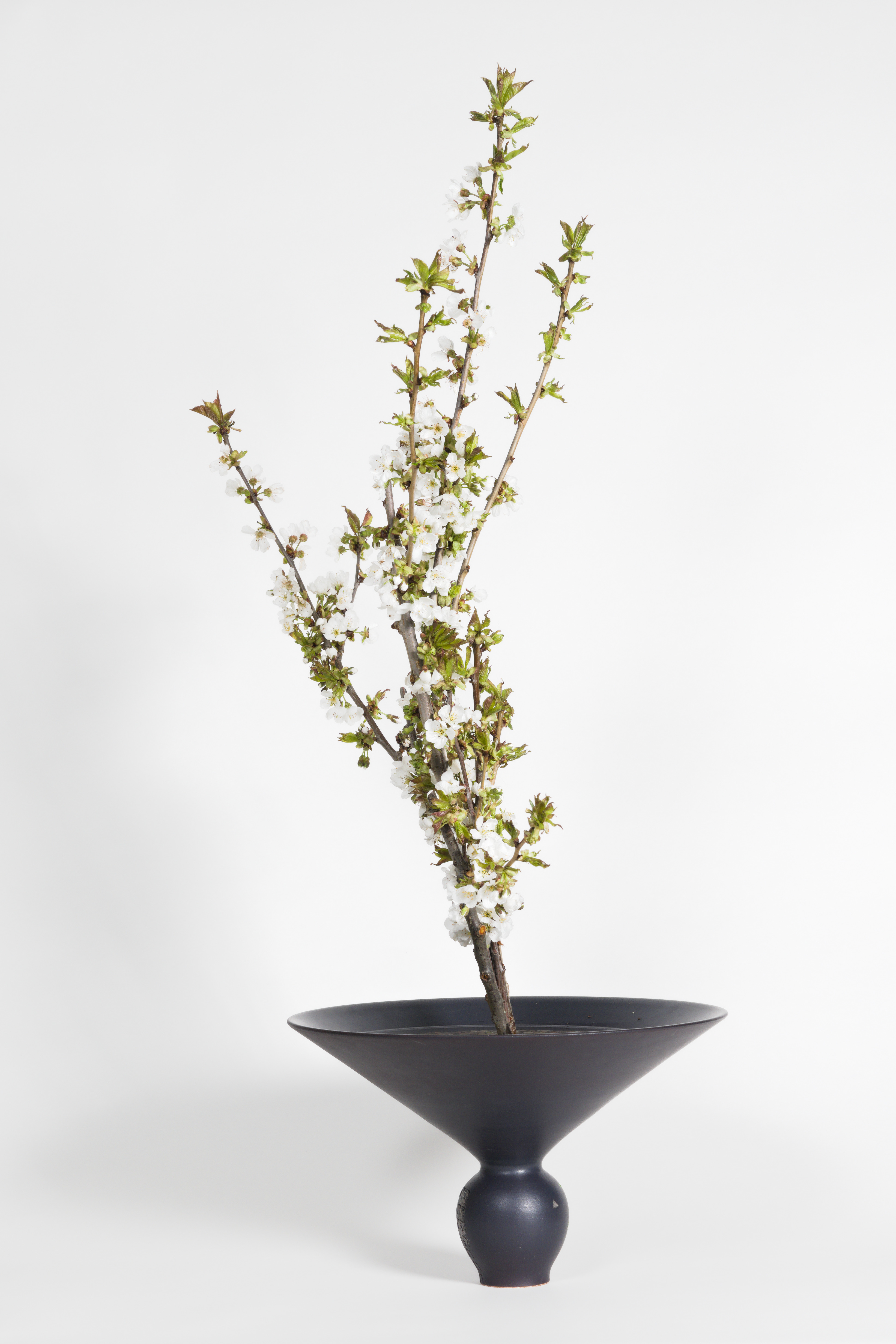 April 2026 Workshop - Shoka
