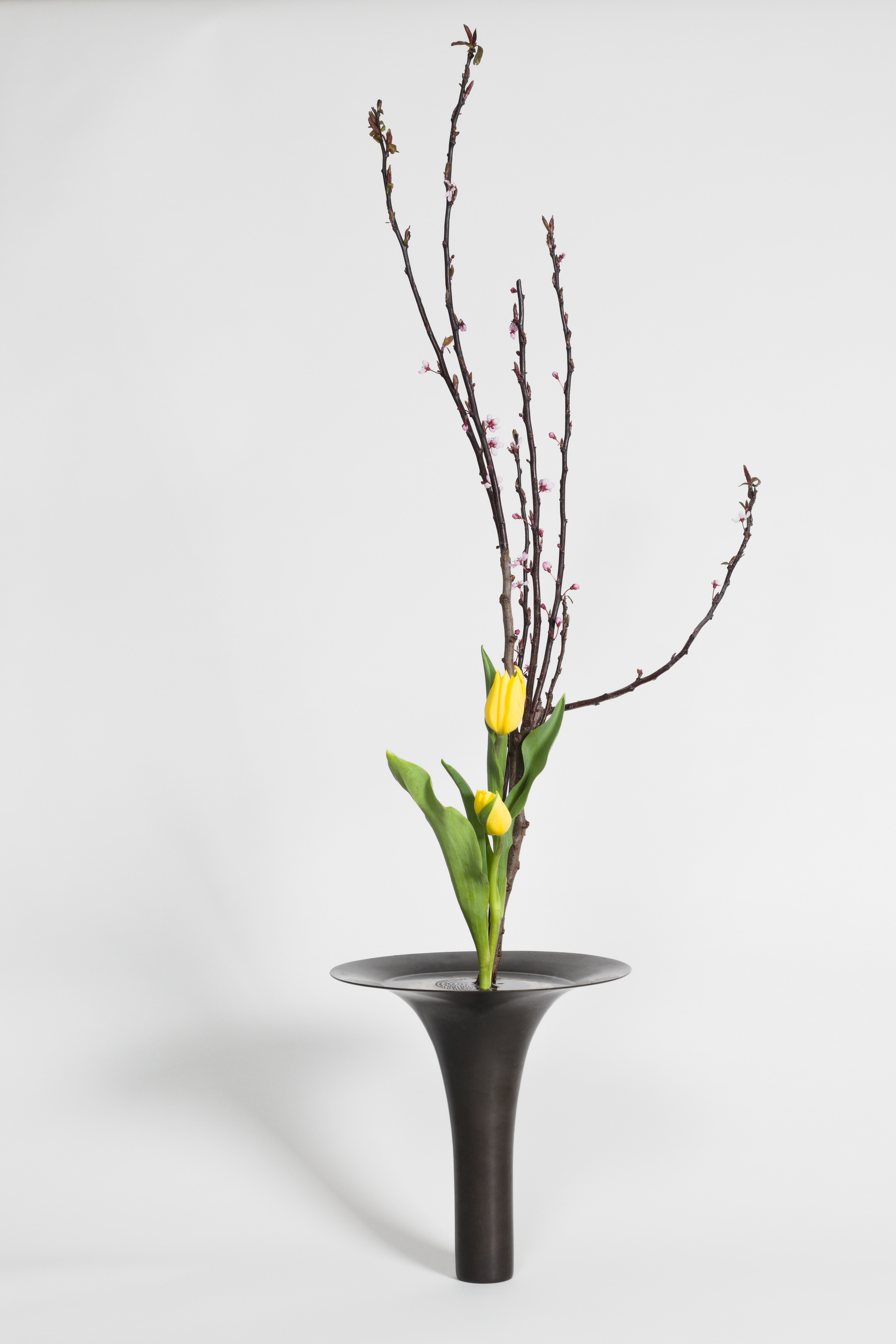 April 2026 Workshop - Shoka