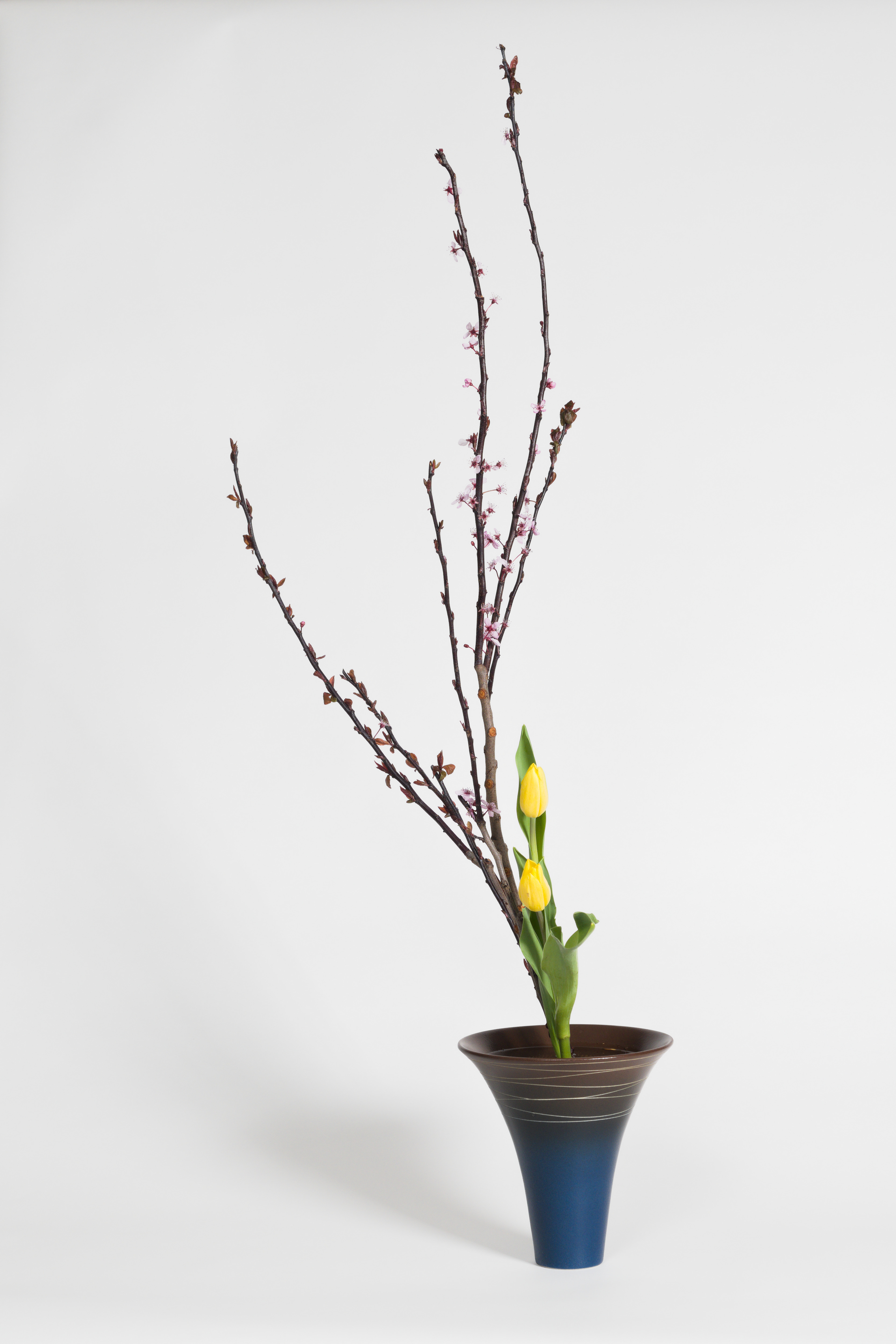 April 2026 Workshop - Shoka
