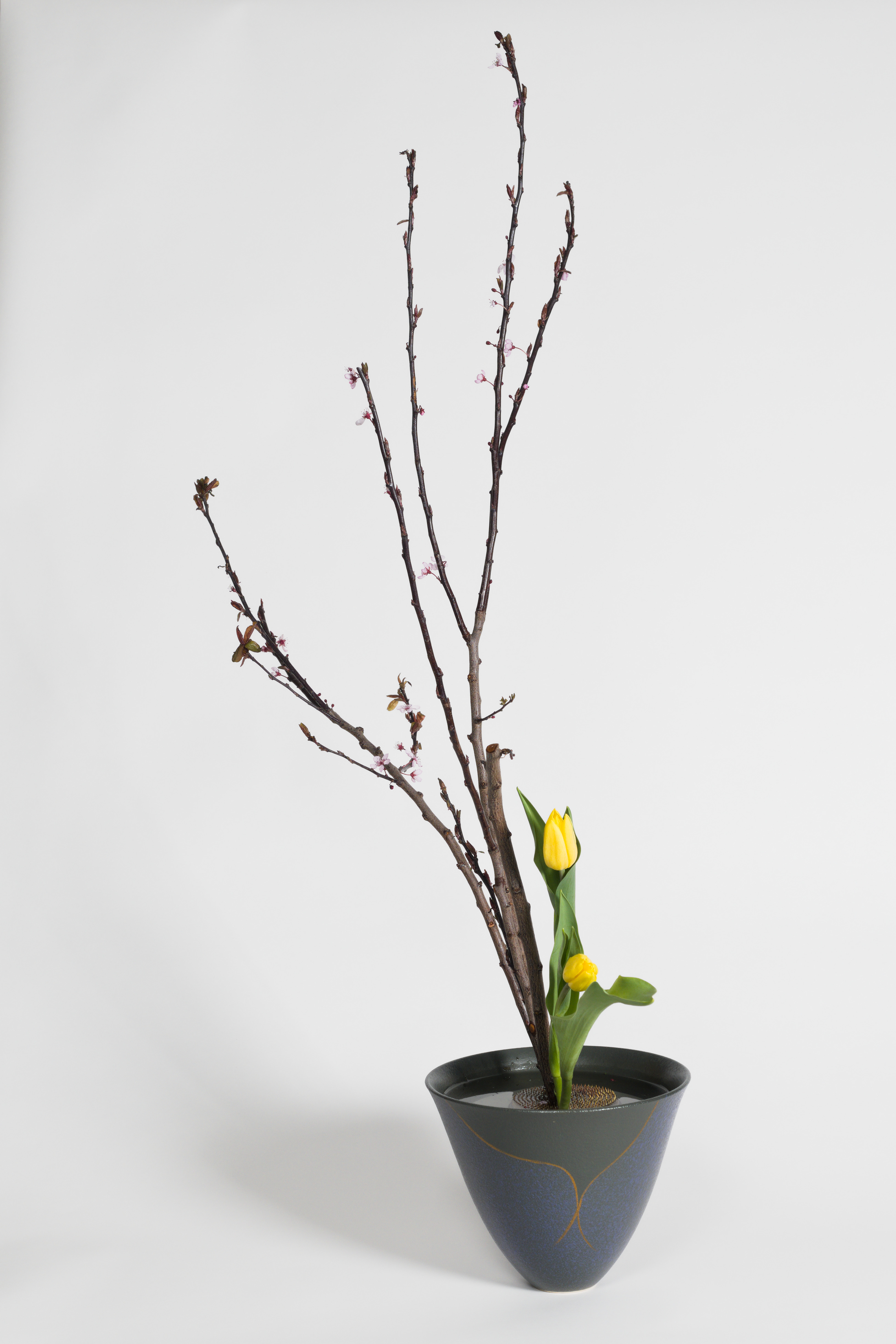 April 2026 Workshop - Shoka